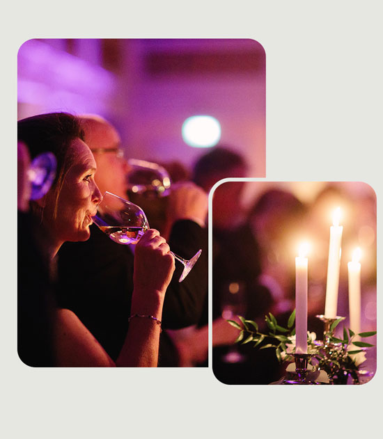 Corporate events: smiling woman at gala dinner