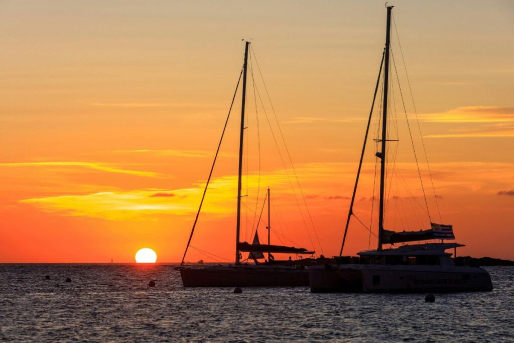 Sunset catamaran cruise for a corporate group in Ibiza