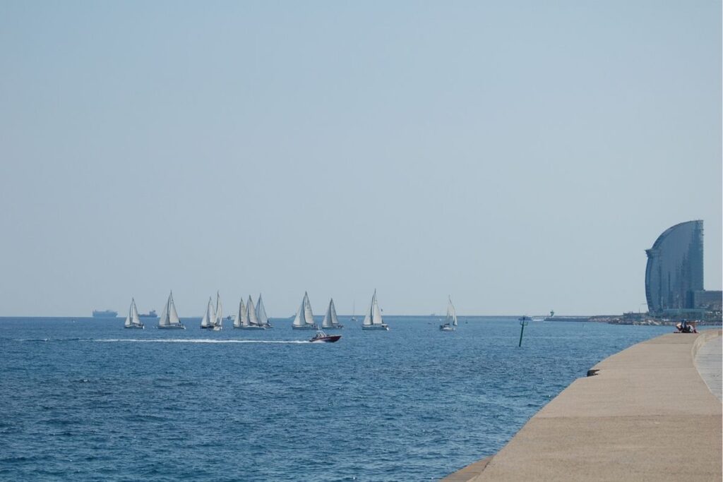corporate sailing regatta along Barcelona coast 